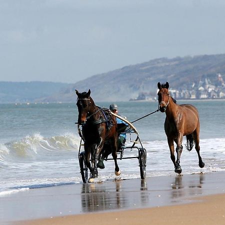 Le Nid De Plage A 100 M De La Mer カブール エクステリア 写真