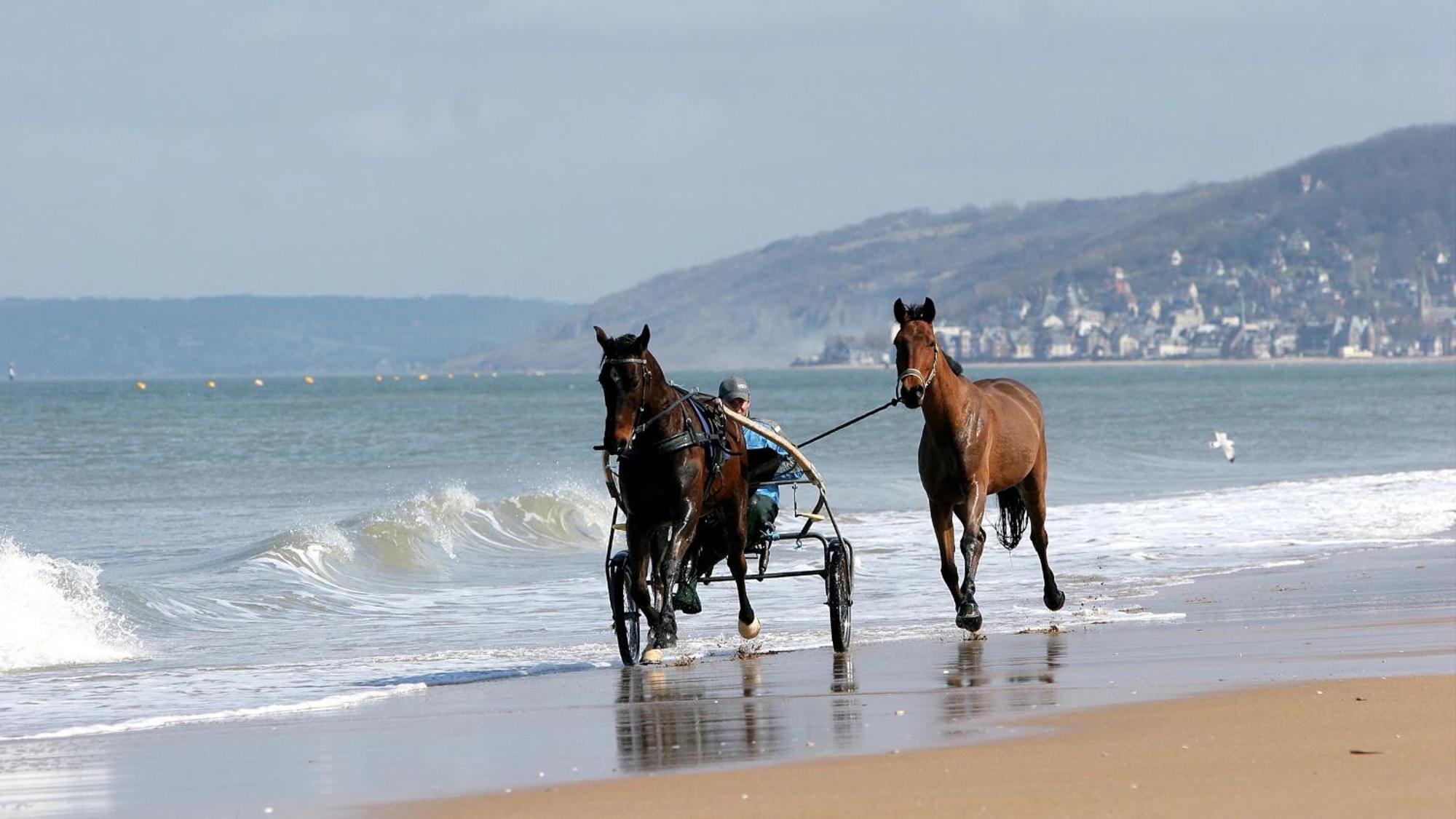Le Nid De Plage A 100 M De La Mer カブール エクステリア 写真